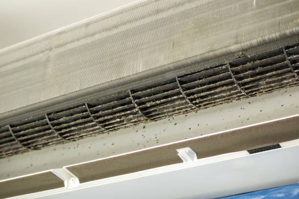 Best Professional Duct Cleaning Services  in West Loch Estate, HI